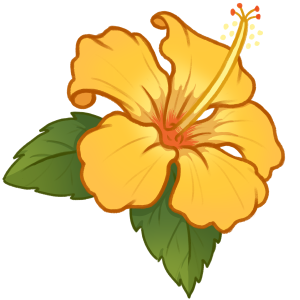 Hibiscus Hibiscus