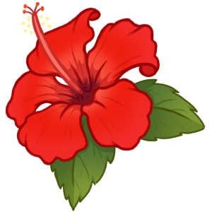 Hibiscus Hibiscus